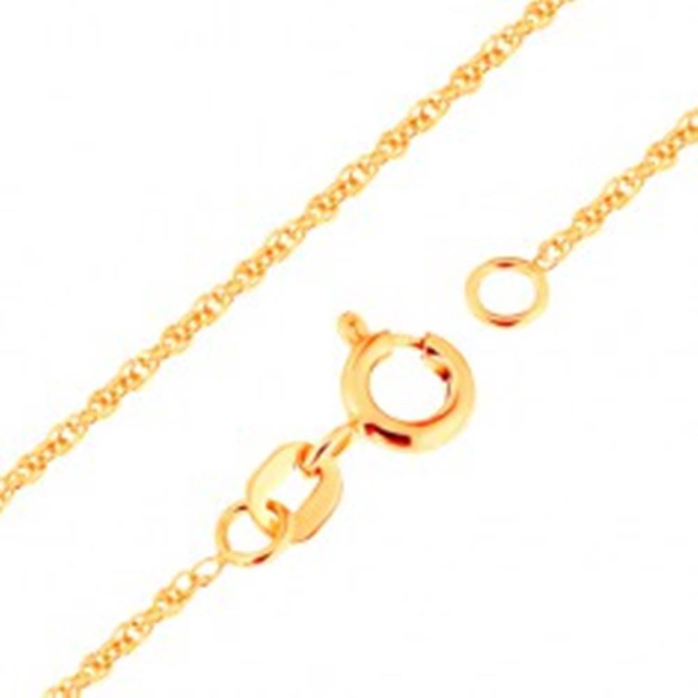 Šperky eshop Retiazka v žltom zlate 375 - prepojené oválne očká, 500 mm