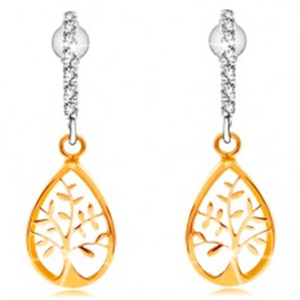 Šperky eshop Náušnice v kombinovanom 14K zlate - oblúk z čírych zirkónikov, strom života