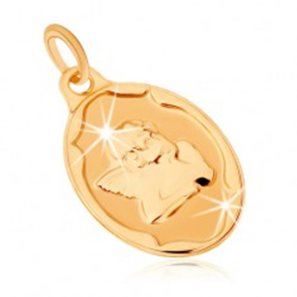 Šperky eshop Zlatý prívesok 375 - oválna známka, anjelik podopierajúci si hlavu