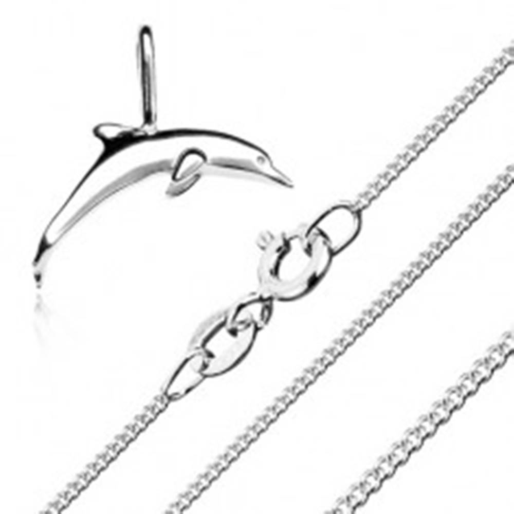 Šperky eshop Náhrdelník - retiazka z drobných očiek a prívesok delfína, striebro 925